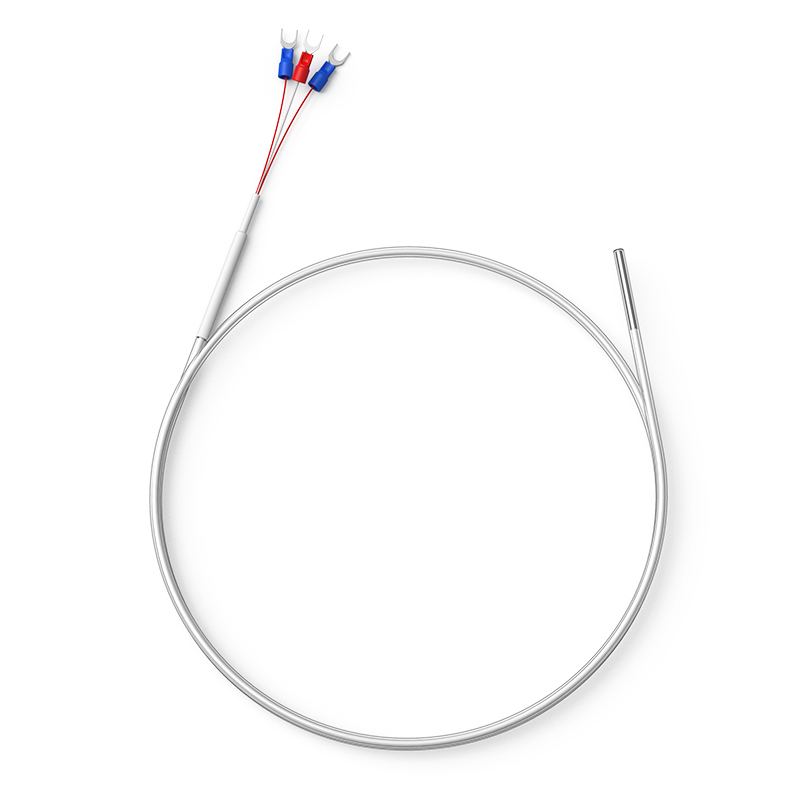 鐵氟龍熱電阻12_http://www.hxdz8.cn_溫度儀表_第1張